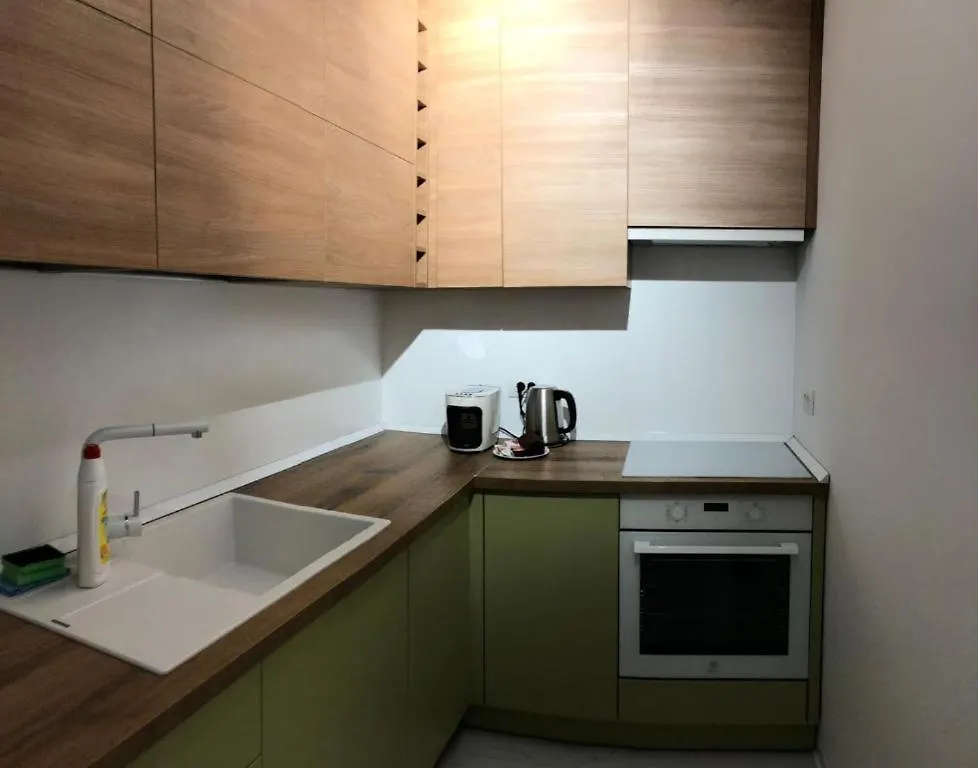 Unique One Apartments In Floreasca With Terrassa Area Bukarest